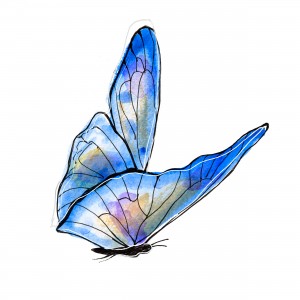 flyingbutterfly-webready-white